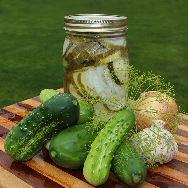 Augurk - Homemade Pickles