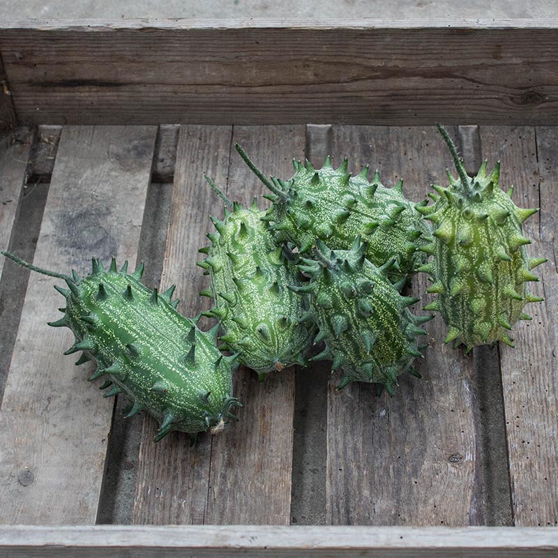 Miniatuur 1