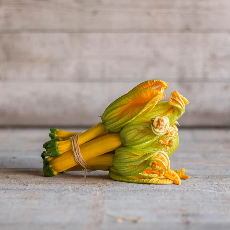 Courgette -  Golden Glory F1 - Image 3