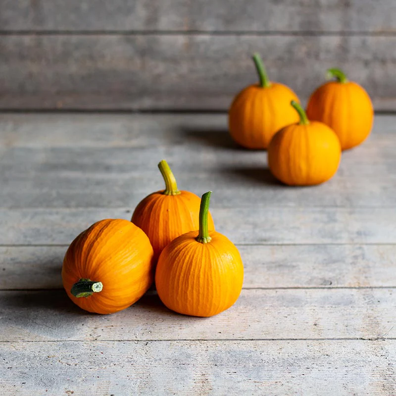 Halloweenpompoen - WeeeeOne F1 - PMT