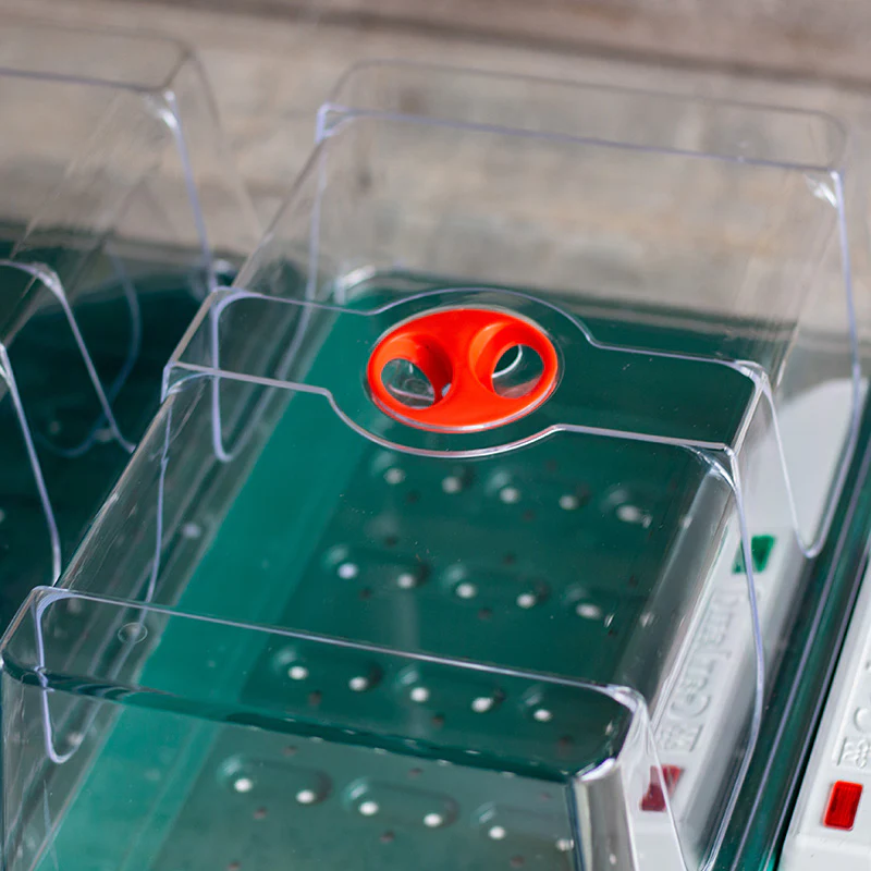 Electric Big 3 Propagator - Garland Products - Image 2
