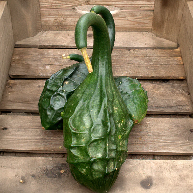 Fleskalebas - Marenka Dinosaur - Image 2