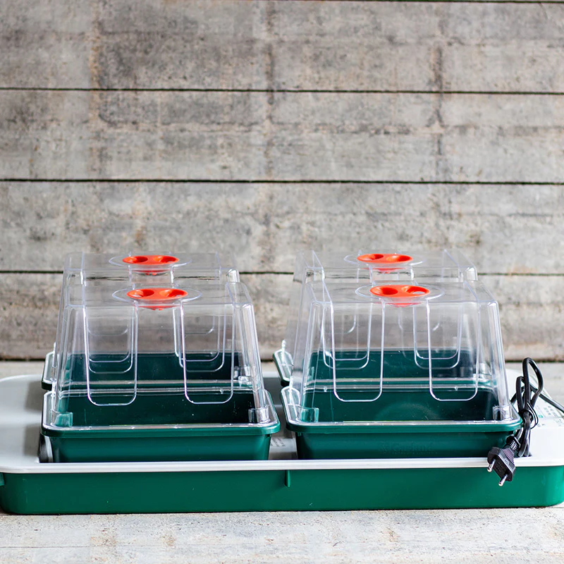 Electric 4 Propagator - Garland Products