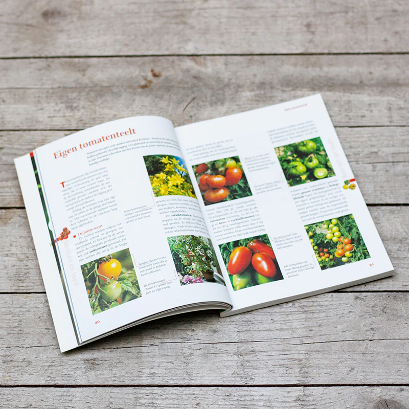 Het beste uit de moestuin. Tomaten, pompoenen en courgettes - Image 2