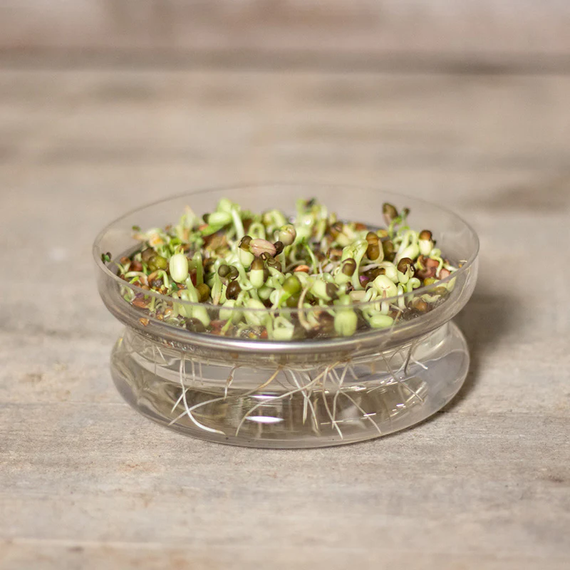 Miniatuur 1