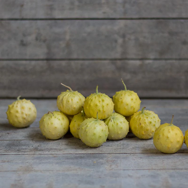 Kiwano Rond