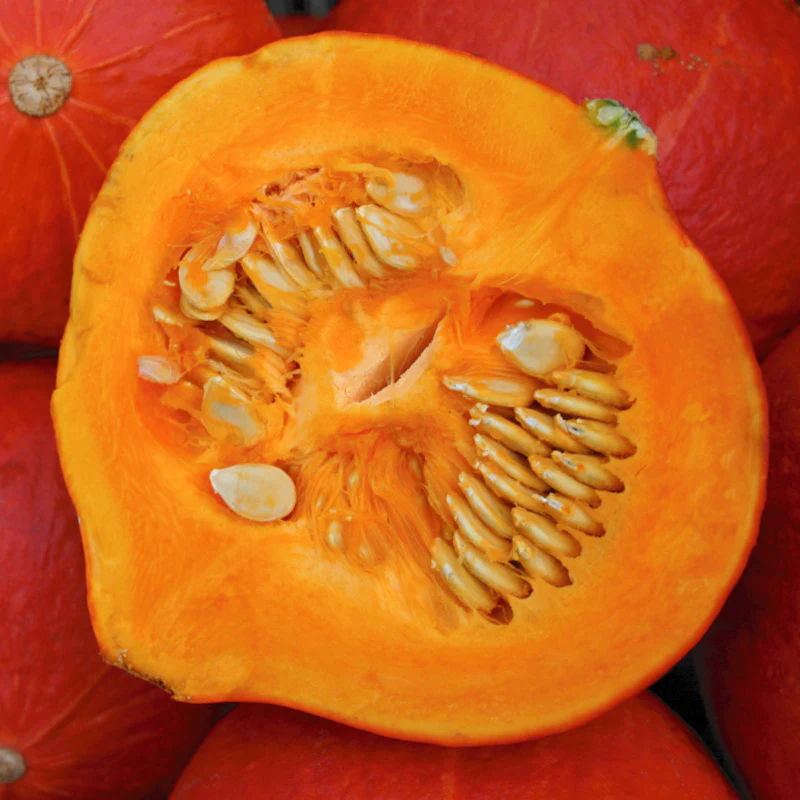 Miniatuur 2