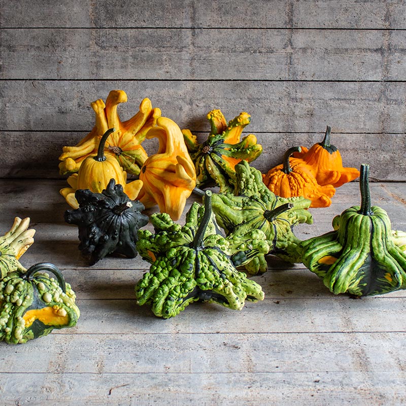 Miniatuur 1