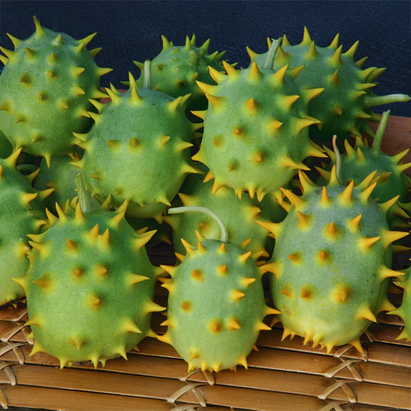 Miniatuur 1