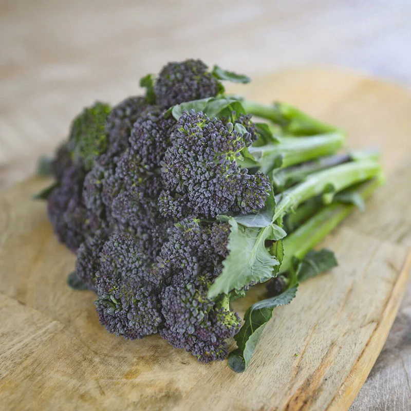 Sprouting Broccoli - Burgundy F1 - Image 2