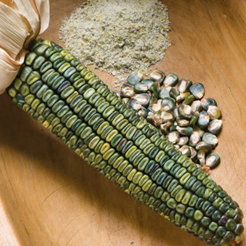 Miniatuur 2